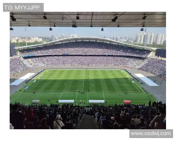 罗庄足球场曾培养和见证过的足球明星及其辉煌足迹